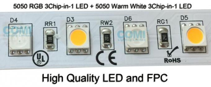 24V RGB + Sıcak Beyaz Esnek LED Şerit Işıklar 72 LED / M OEM / ODM Kabul Edilebilir 1